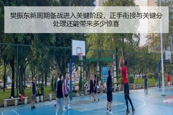 樊振东新周期备战进入关键阶段，正手衔接与关键分处理还能带来多少惊喜